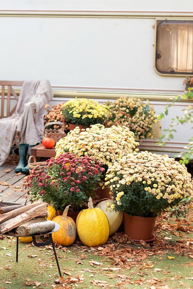 Campingplatz am See.